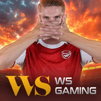 Wansheng Gaming